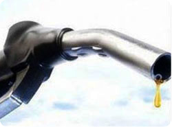 Цены на бензин заморозили